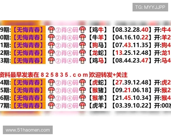 全面解析澳门新彩资料官方网站查询的最新动态与技巧